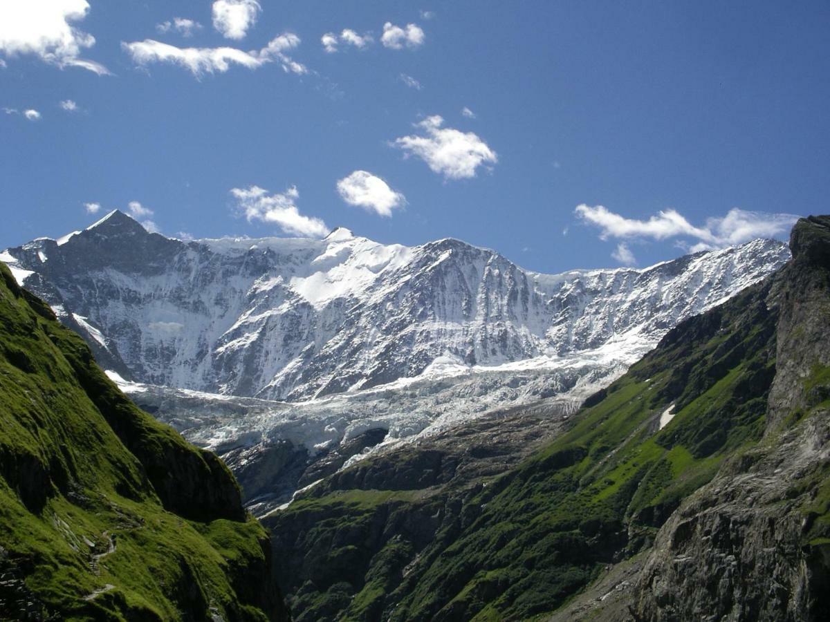 Chalet Verbrunnenhaus Grindelwald Luaran gambar